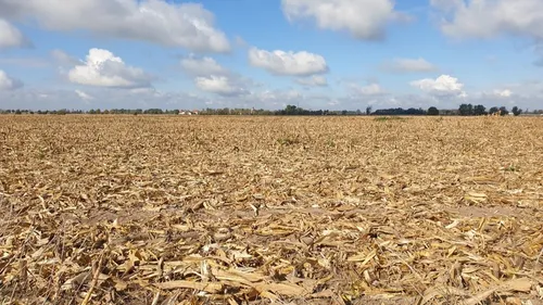 En Côte-d’Or la Chambre d’agriculture juge les aides encore très...