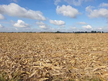En Côte-d’Or la Chambre d’agriculture juge les aides encore très...