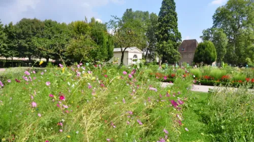 Jardin de l’Arquebuse à Dijon : des activités gratuites pour...