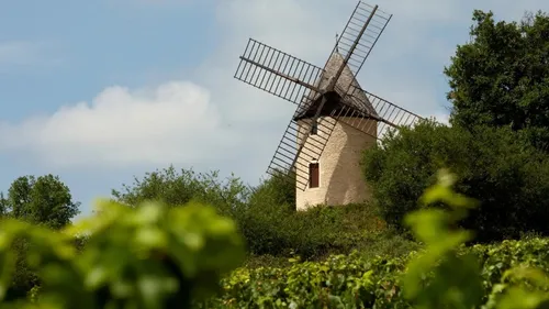 À Santenay, visitez un moulin au milieu des vignes et dégustez un...