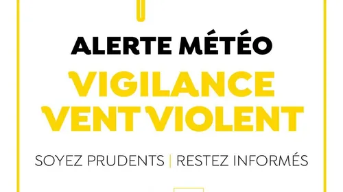 Vigilance vents violents : les parcs et jardins municipaux fermés à...