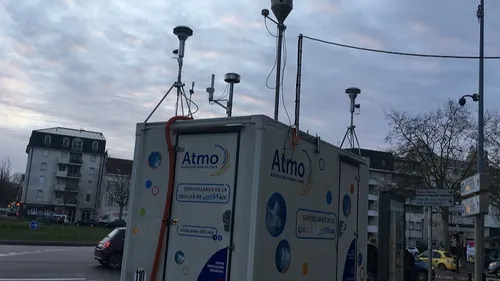 Démarrage précoce de la surveillance des pollens dans la région 