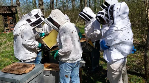La fête de l'environnement de Chevigny, c’est ce samedi 