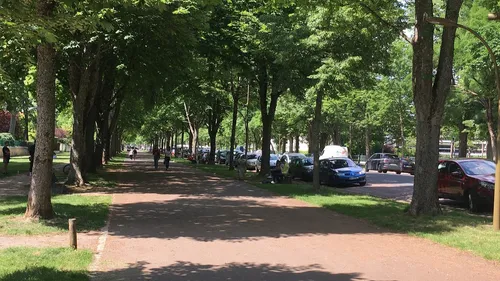 Une nouvelle « marche plaisir en ville » ce jeudi soir à Dijon