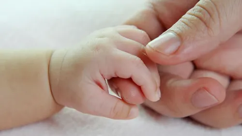 Davantage de décès que de naissances en 2025 : la population de...