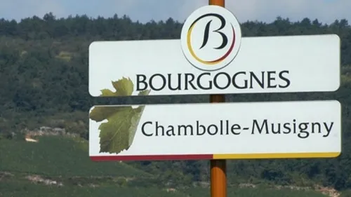Les panneaux des appellations de bourgognes vendus aux enchères