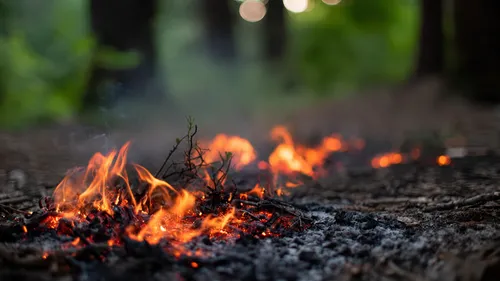Un important feu de forêt mobilise plus de 100 pompiers entre...