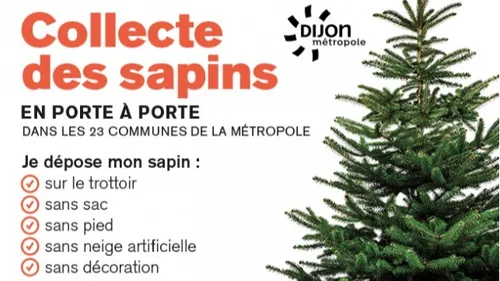 Quand seront collectés vos sapins de Noël ?