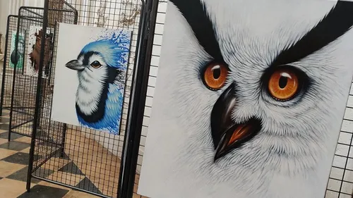 La vie sauvage à découvrir en photos à Dijon 