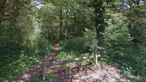 Risque de feux de forêt très sévère en Côte-d’Or selon le SDIS 21