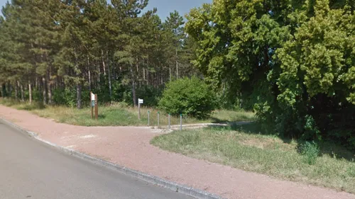 Dijon : la Forêt des Enfants fête ses 10 ans ce dimanche au chemin...