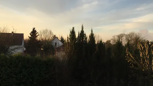 Une vague de froid qui dure à Dijon… jusqu’à quand ?