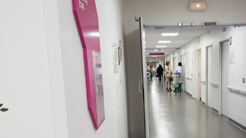 Le don de moelle osseuse : comment ça se passe ?