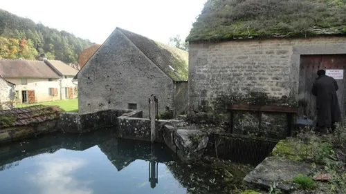 Comment produire de l’électricité depuis son jardin 