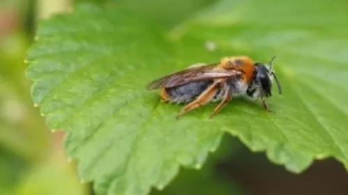 Un concours de photos sur Instagram 