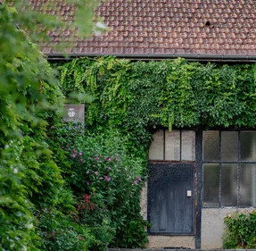 Nuits-Saint-Georges : la Maison Cartron ouvre exceptionnellement...