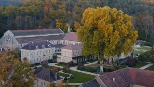 La Côte-d'Or scintille aux Trophées Cerclecom 2025 