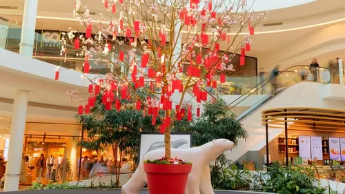 La Toison d'Or célèbre le nouvel an chinois 