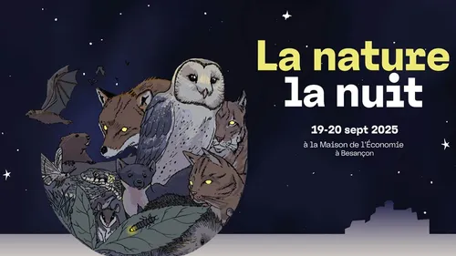 Un rendez-vous dédié à la nature la nuit 