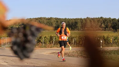 Rendez-vous le 6 octobre pour le marathon des grands crus 