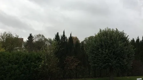 Météo : une première semaine d’août mitigée 