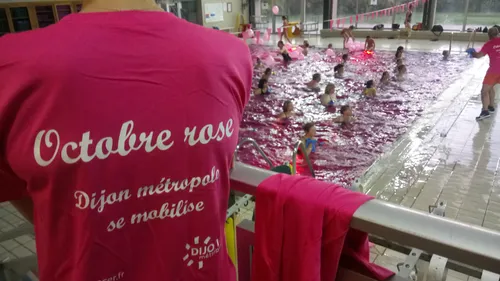 Octobre Rose : un dépistage gratuit du cancer du sein organisé ce...