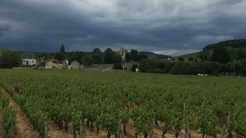 La Côte-d'Or placée en vigilance orange aux orages 