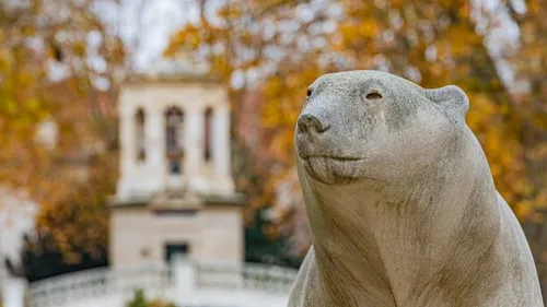 Un livre sur l’ours pompon et les paysages de la Côte d’Or 