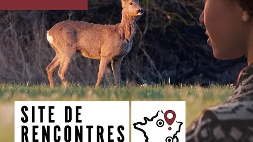 Une campagne de communication décalée pour le parc national de forêts
