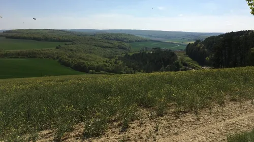 Fête de la Nature 2022 : un appel à projets pour organiser sa...