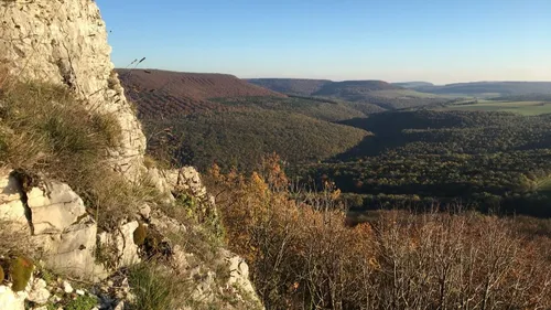 À la découverte de la biodiversité côte-d’orienne
