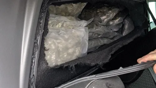 86,3 kilos de cannabis saisis par les douaniers dijonnais