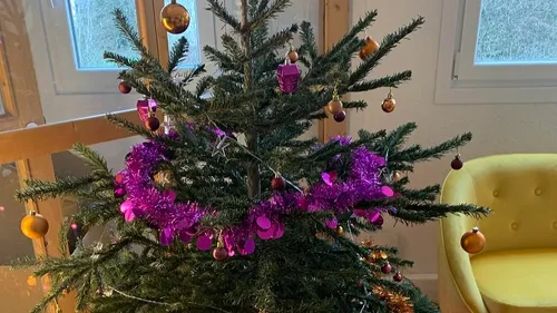 La collecte des sapins commence ce jeudi dans la métropole