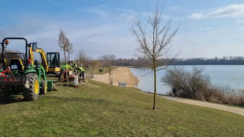 De nouveaux arbres à la base de loisirs d’Arc-sur-Tille 