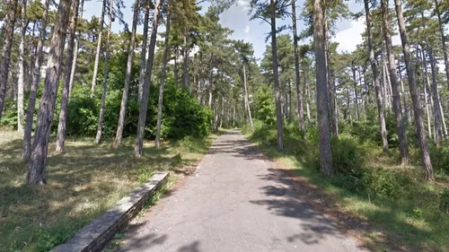 Interdiction de fumer et de faire des barbecues sur le Plateau de...