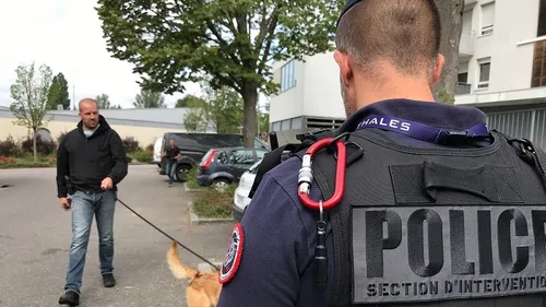 Trafic de drogue en Côte-d’Or : 21 millions d'euros saisis en 2022