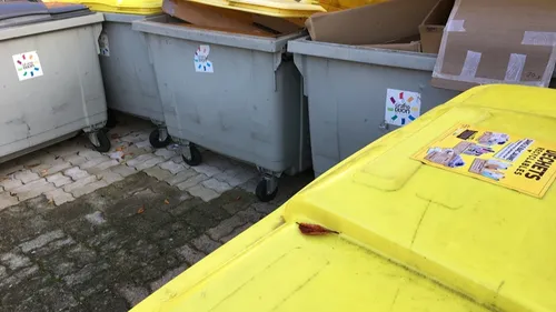 Prêts à devenir une famille zéro déchet ? 