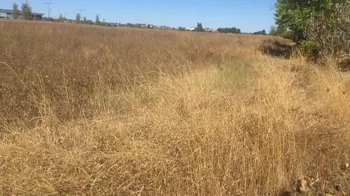 La Côte d'Or en situation de vigilance-sécheresse