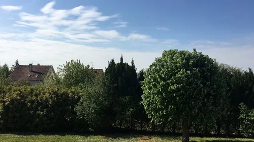 Un petit air de printemps attendu pour cette semaine 