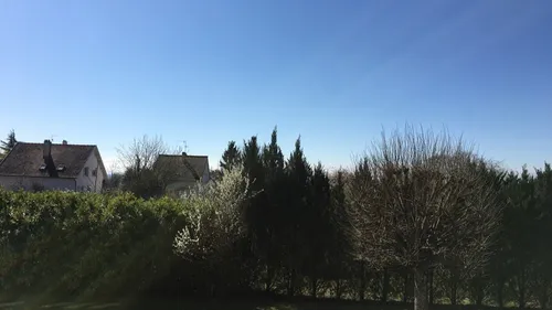 La semaine sera printanière en Côte-d’Or 