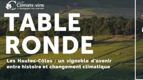 Les Hautes-Côtes en débat : un vignoble d’avenir face aux défis...