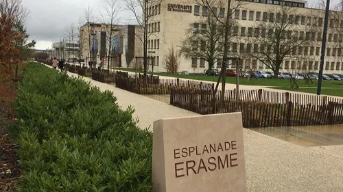 Pas d’expertise à la résidence Beaune contre les punaises de lit