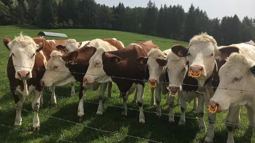 La région bien représentée au salon de l’agriculture 