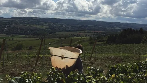 Une rando dans les Maranges le 19 juillet 