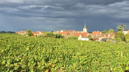 Beaune: Rencontre conviviale entre vignerons et habitants 