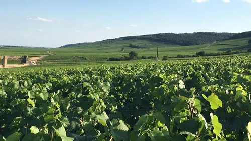 Le Mois des Climats 2022 est lancé