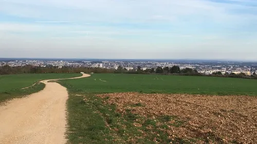 Les solutions des écologistes de Côte d’Or face à la pollution 