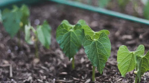 « Ose l’agriculture » : l’ANEFA Côte-d’Or cherche de nombreux talents