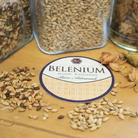 À Beaune, la brasserie Belenium mise sur la transmission et les...