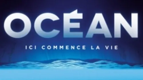 Derniers jours pour découvrir l’exposition « Océan, ici commence la...